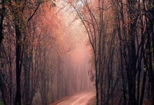 李璇预测国足首发：林良铭、拜合拉木双前锋，塞鸟、王钰栋替补.