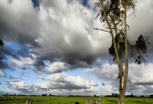 李璇预测国足首发:林良铭、拜合拉木双前锋,塞鸟、王钰栋替补.