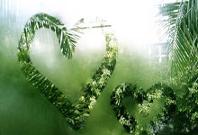 几家欢乐几家愁——2024-2025中国女子排超联赛队员观感之十三.