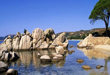 [图]哈兰德梅开二度努内斯进球 曼城主场大胜.